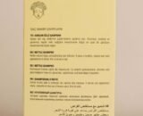 MAIA MC EXTRACT HAIR CARE NETTLE SHAMPOO HYALURONIC ACID PROVITAMIN B5  PARABEN FREE - Image 2