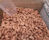 Roasted Almonds  – Organic Natural - Image 2