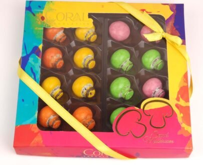 CORAL CHOCOLATIER MILK FILLED COLORED MUSHROOM DRAGEE