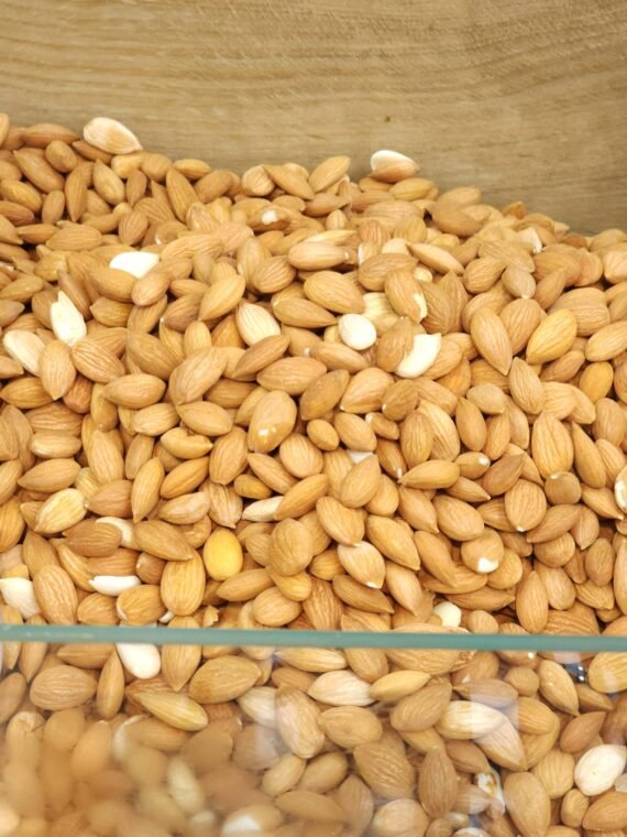 Apricot Kernel Organic Raw - Bigger Seeds - %100 Organic Certified, Raw, Non-GMO, Kosher, Vegan, Gluten-Free, Fresh and Clean – Natural Source of Vitamin B17 & B15 - Image 3