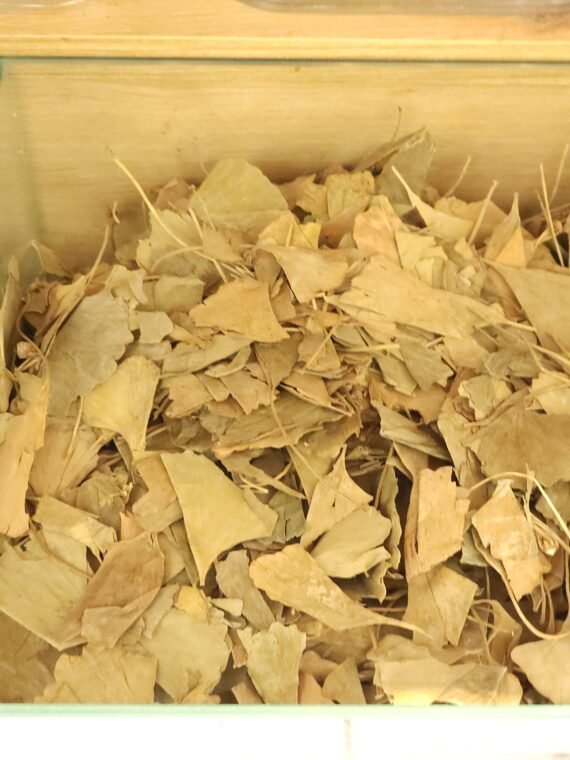 Ginkgo Biloba Dry Herb use in treating blood disorders and memory problems
